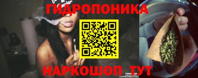 стаф Лесосибирск