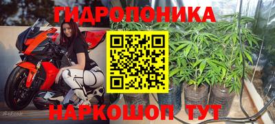 стаф Лесосибирск