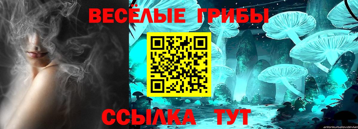 где можно купить наркотик  Псилоцибиновые грибы MAGIC MUSHROOMS  Вход с VPN  Грязи 